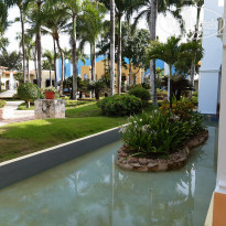 фото из отзыва ID 2008086