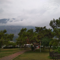 фото из отзыва ID 2008101