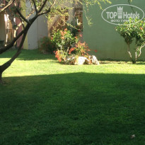 фото из отзыва ID 2008140