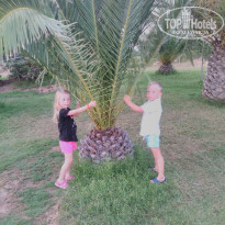 фото из отзыва ID 2004094