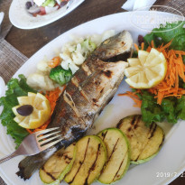 фото из отзыва ID 2008185