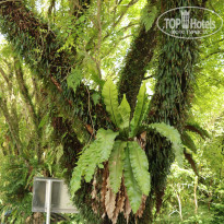 фото из отзыва ID 2008157