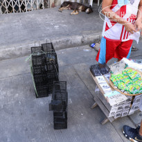 фото из отзыва ID 2008230