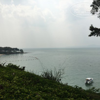 фото из отзыва ID 2008271