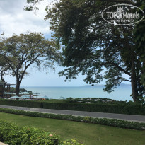 фото из отзыва ID 2008271