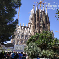 фото из отзыва ID 2005904