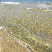 фото из отзыва ID 2008321