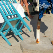 фото из отзыва ID 2008321