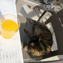 фото из отзыва ID 2008353