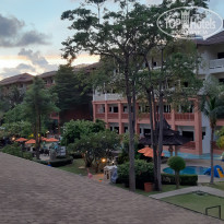 фото из отзыва ID 2008463