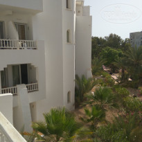 фото из отзыва ID 2008487