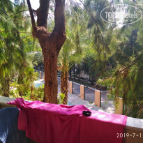 фото из отзыва ID 2008341