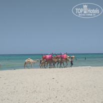 фото из отзыва ID 2008487