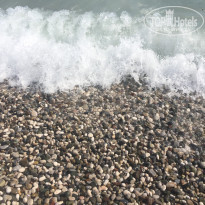 фото из отзыва ID 2008506