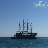 фото из отзыва ID 2008506