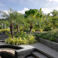 фото из отзыва ID 2008554