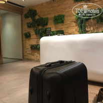 фото из отзыва ID 2008554