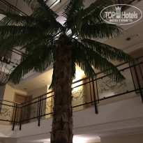 фото из отзыва ID 2008641