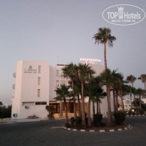 фото из отзыва ID 2008643