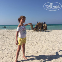 фото из отзыва ID 2008708