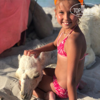 фото из отзыва ID 2008708