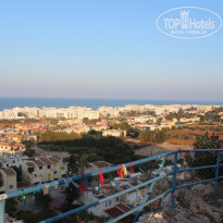 фото из отзыва ID 2008790