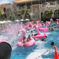 фото из отзыва ID 2008806