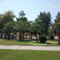 фото из отзыва ID 2008814