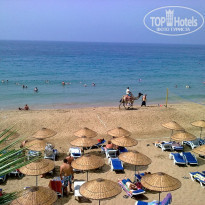 фото из отзыва ID 2008859