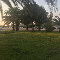 фото из отзыва ID 2008864