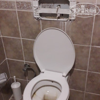 фото из отзыва ID 2008871