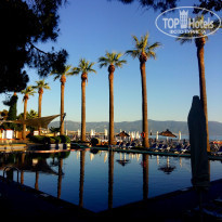 фото из отзыва ID 2008494