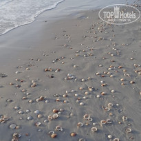 фото из отзыва ID 2006639