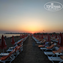 фото из отзыва ID 2008930