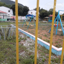 фото из отзыва ID 2009088