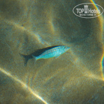 фото из отзыва ID 2009147