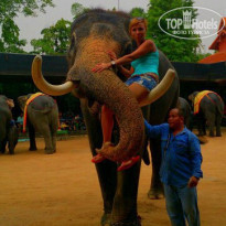 фото из отзыва ID 2009183