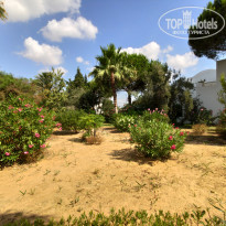 фото из отзыва ID 2009212