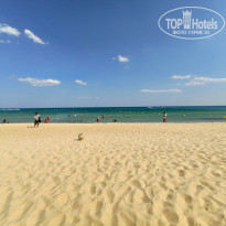 фото из отзыва ID 2009212