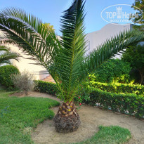 фото из отзыва ID 2009212