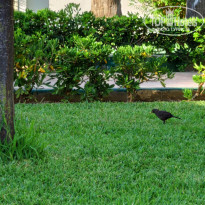 фото из отзыва ID 2009212