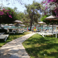 фото из отзыва ID 2008981