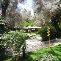 фото из отзыва ID 2008981