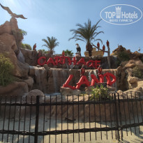 фото из отзыва ID 2009212