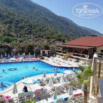 фото из отзыва ID 2008981