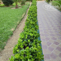 фото из отзыва ID 2009212