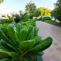 фото из отзыва ID 2009212