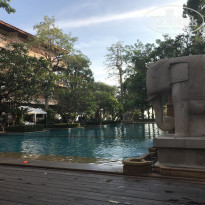 фото из отзыва ID 2009312