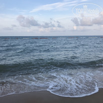 фото из отзыва ID 2009312