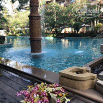 фото из отзыва ID 2009312